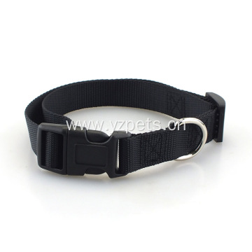 2 Inches Nylon Dog Collars